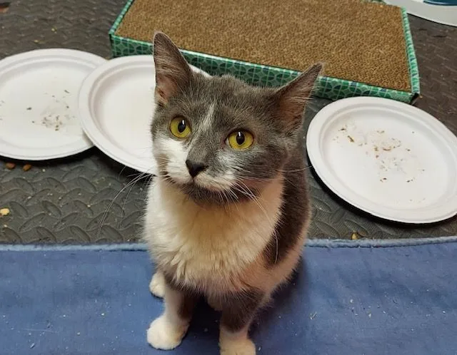 Ivy Aka Yolanda thumbnail 2