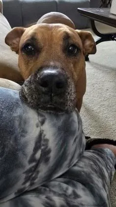 Bella Marie thumbnail 2