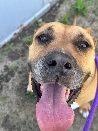 Bella Marie thumbnail 3