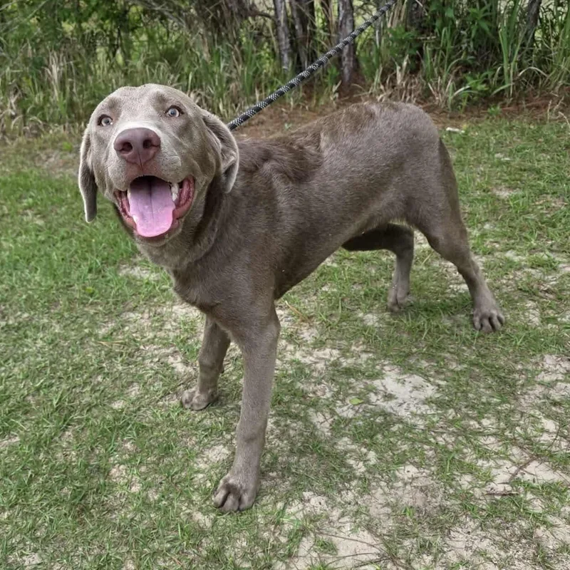 Max