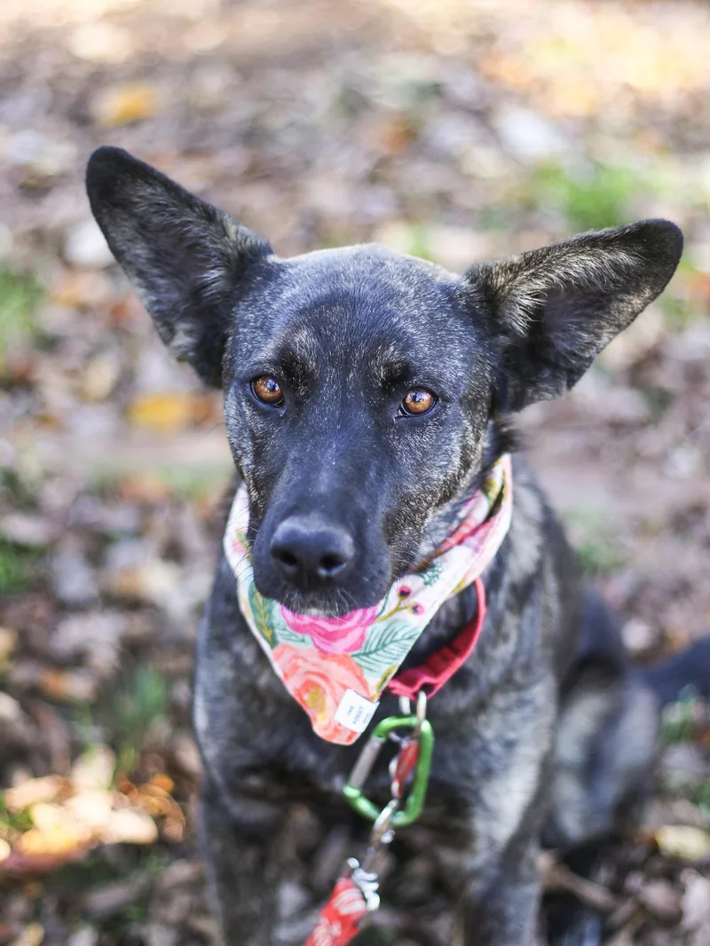 Lola Jane thumbnail 2