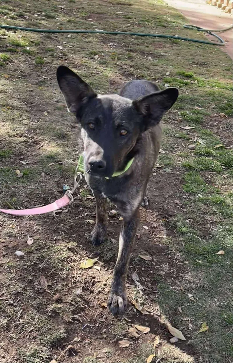 Lola Jane thumbnail 3