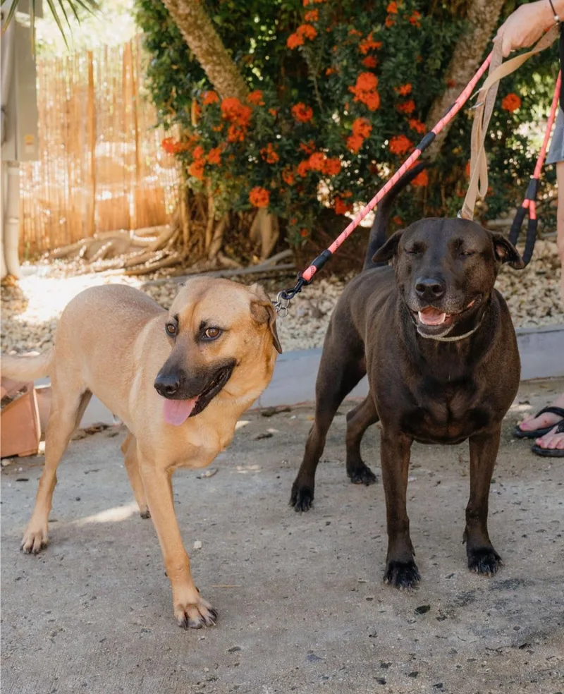 Bonnie & Clyde thumbnail 2