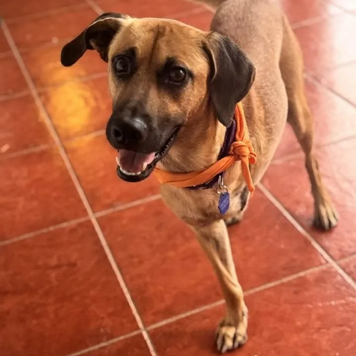 Bonnie & Clyde thumbnail 3