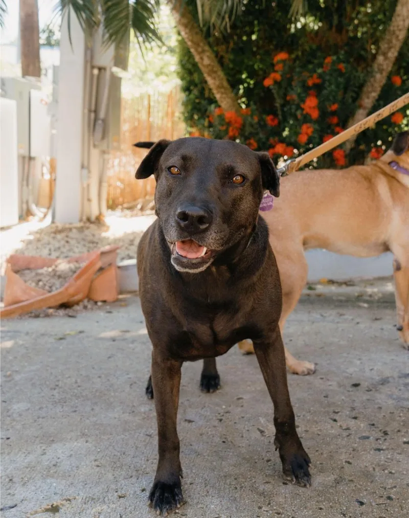 Bonnie & Clyde thumbnail 4