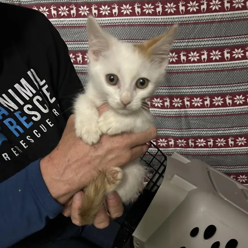 Kentucky thumbnail 3