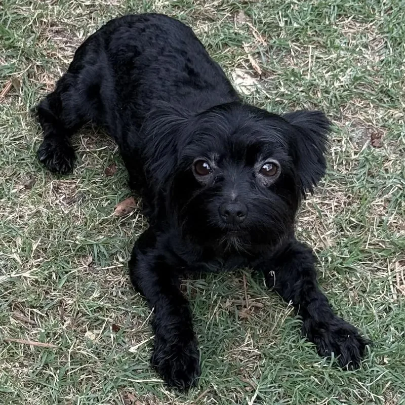 Tara Corenne thumbnail 3