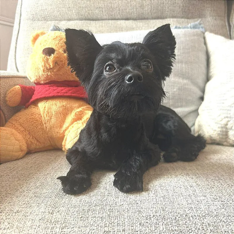 Tara Corenne thumbnail 5