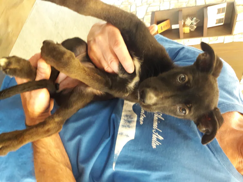 Laverne thumbnail 2