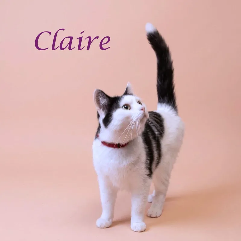 Claire C thumbnail 3