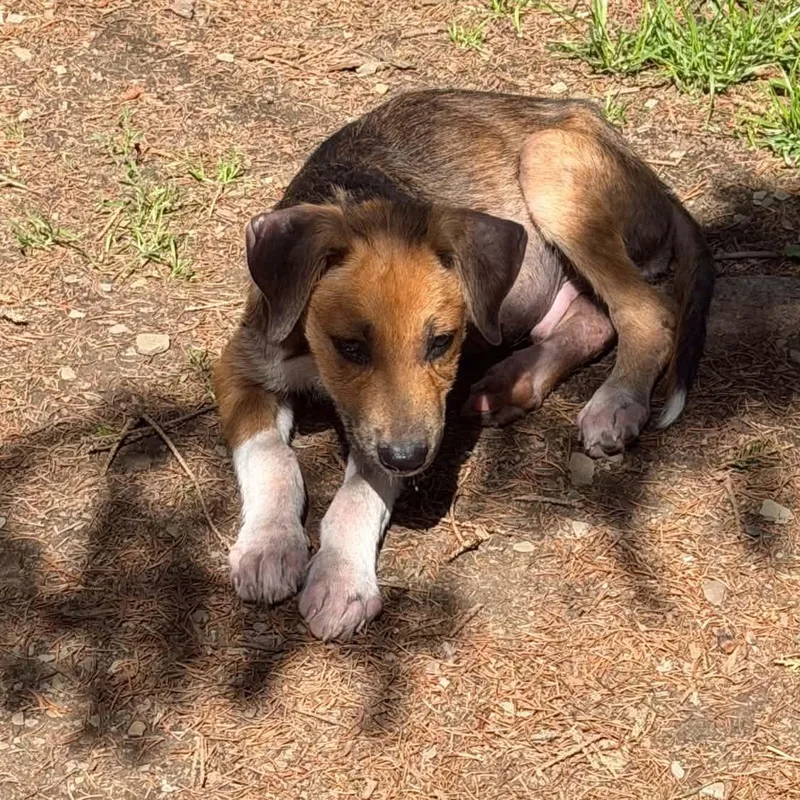 Max