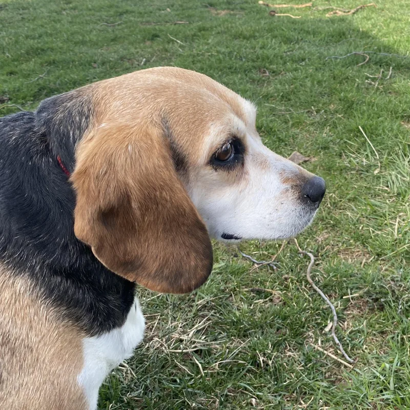 Big Bertha thumbnail 2