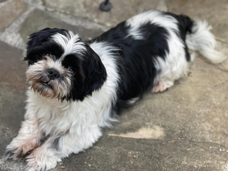 Matt Gatlin thumbnail 2