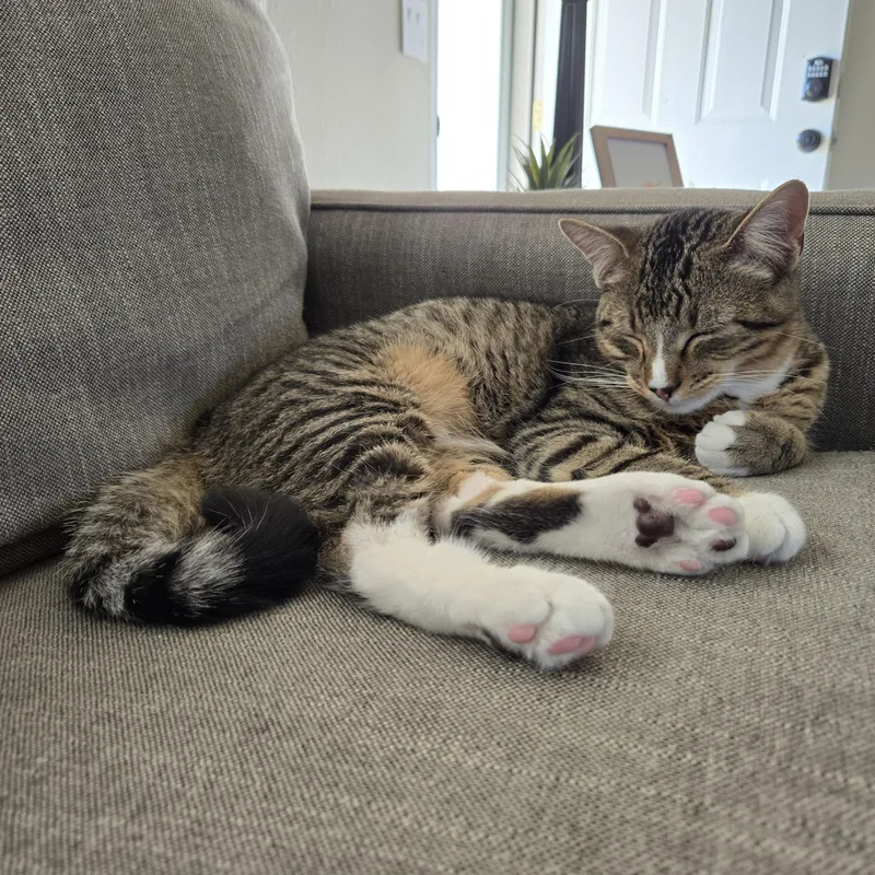 Mike Tyson thumbnail 3