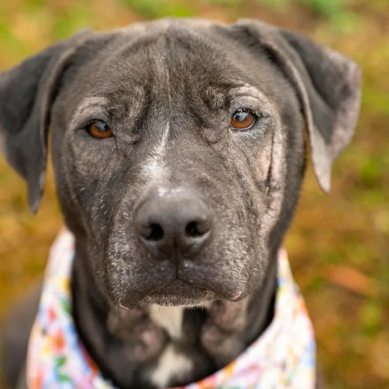 Hennessy thumbnail 5