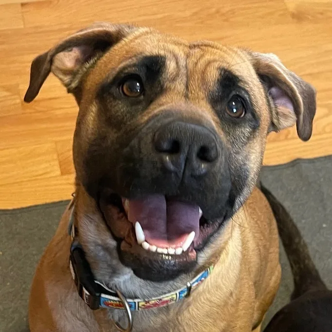 Navy Rae thumbnail 3