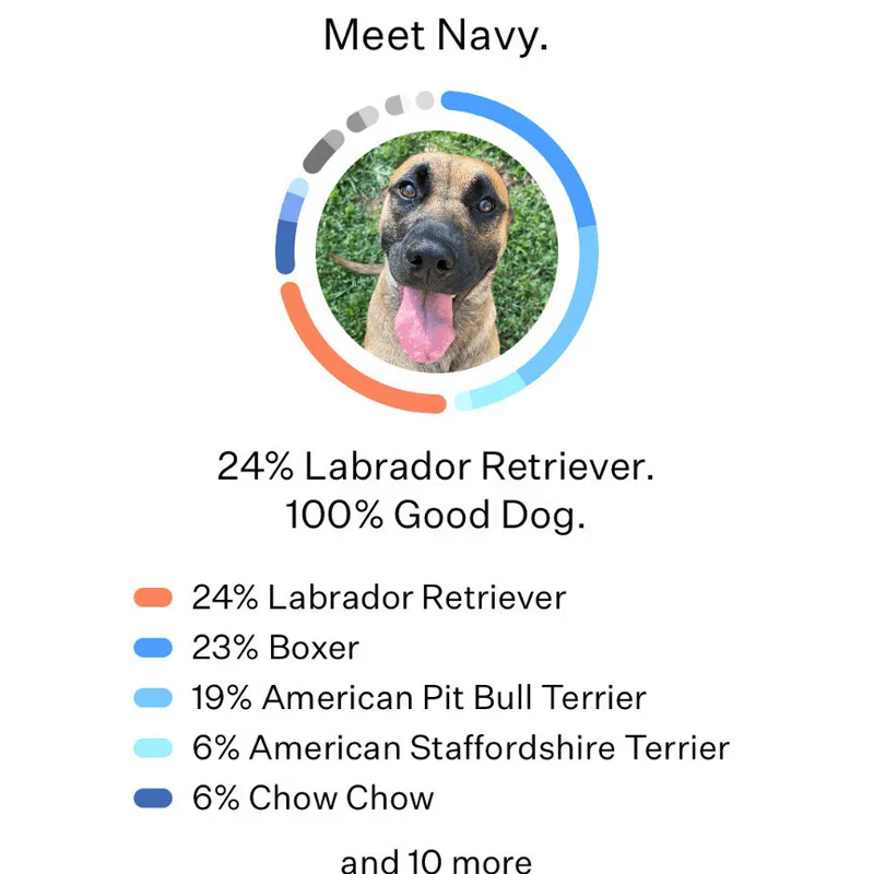 Navy Rae thumbnail 6