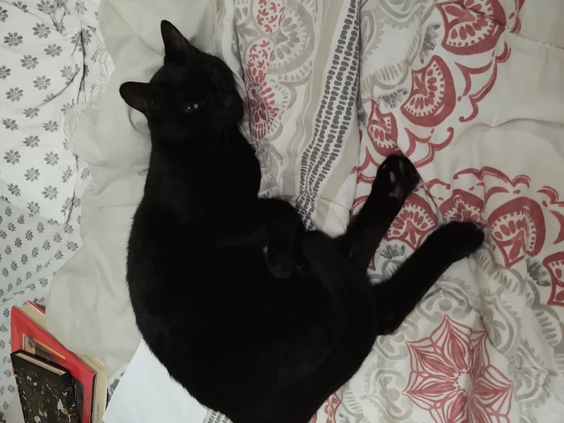 Bruce & Clark thumbnail 2