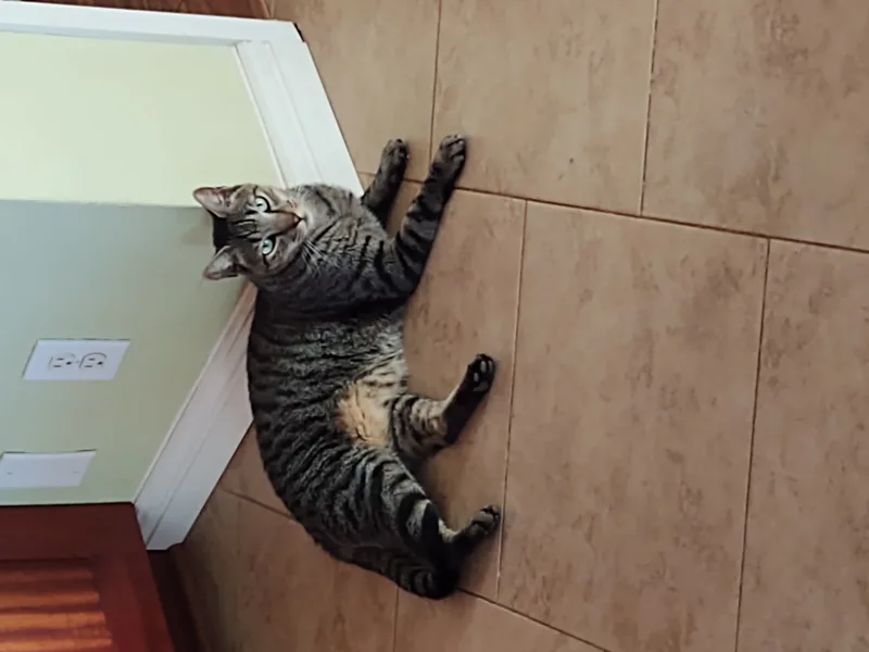 Bruce & Clark thumbnail 3