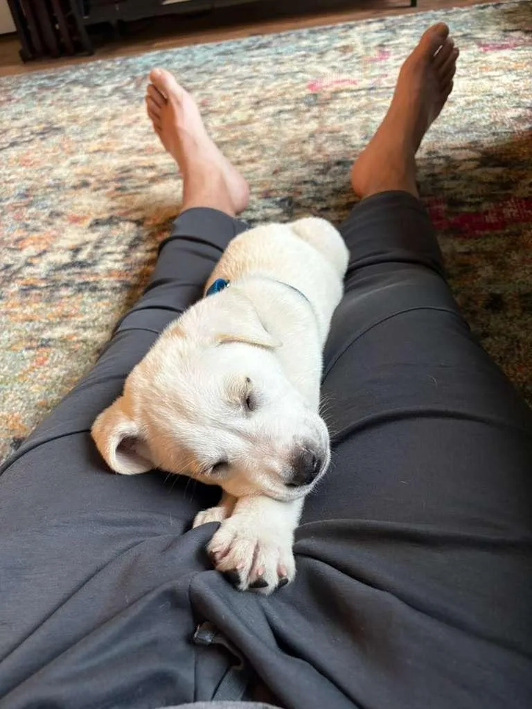 Winston