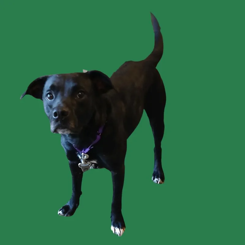 Hutch thumbnail 2