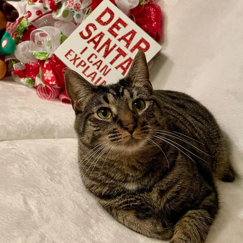 Kaos Litter: Prometheus thumbnail 2