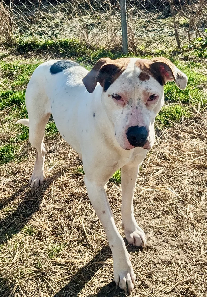 Mama Cloud thumbnail 2