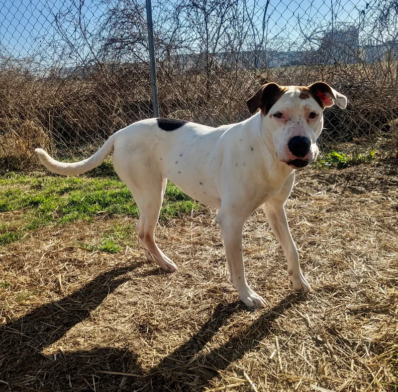 Mama Cloud thumbnail 3