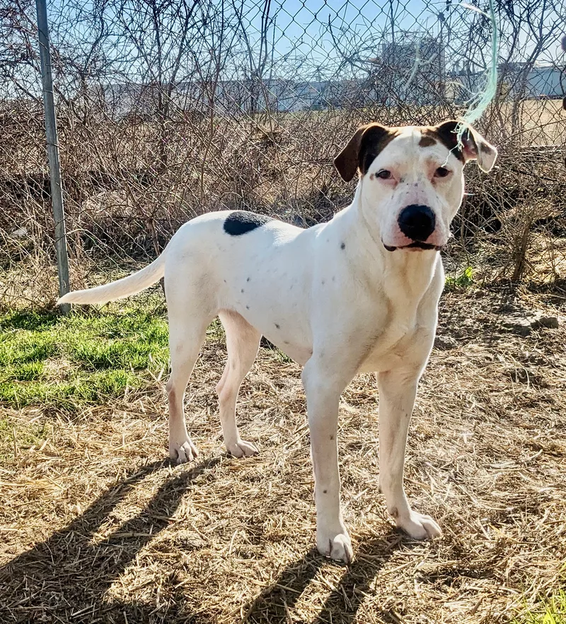 Mama Cloud thumbnail 4