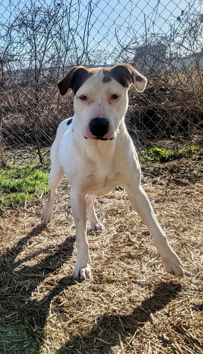 Mama Cloud thumbnail 5