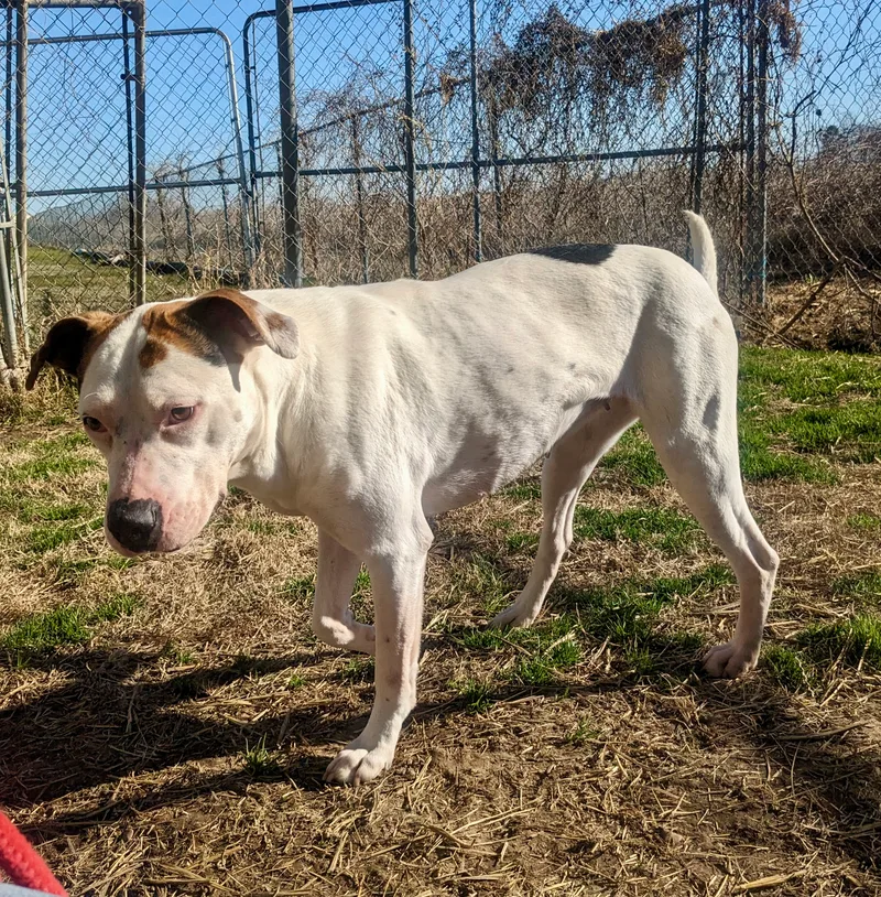 Mama Cloud thumbnail 6