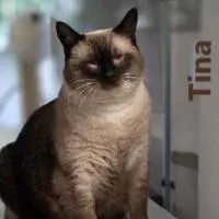 Tina