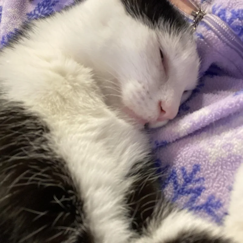 Jazzy Girl thumbnail 3