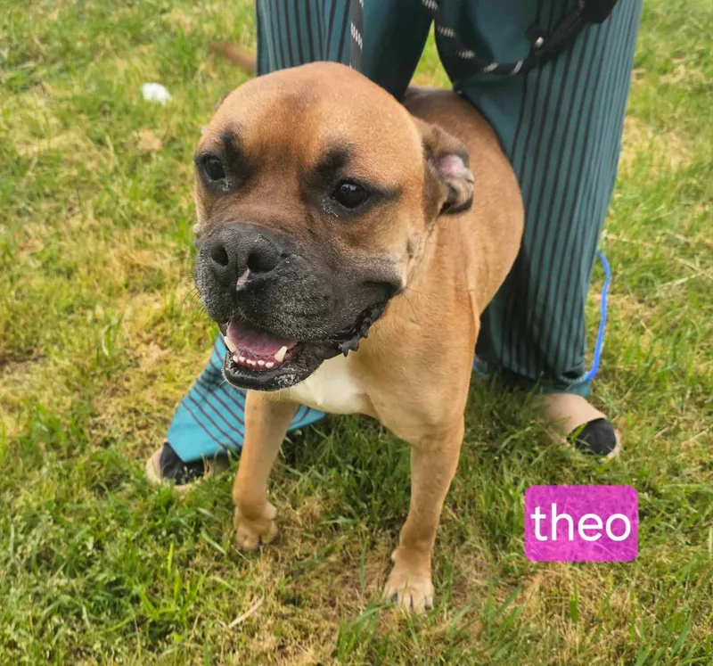 Theo thumbnail 2