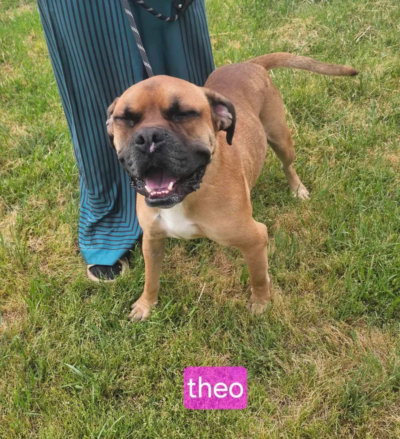 Theo thumbnail 3