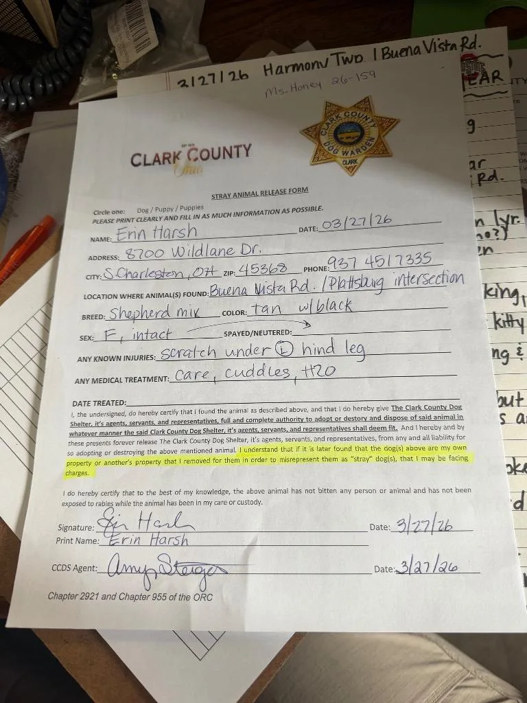 Ms Honey thumbnail 2