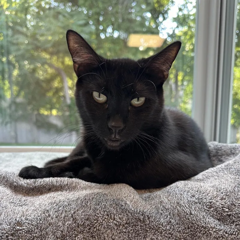 Ernie thumbnail 2