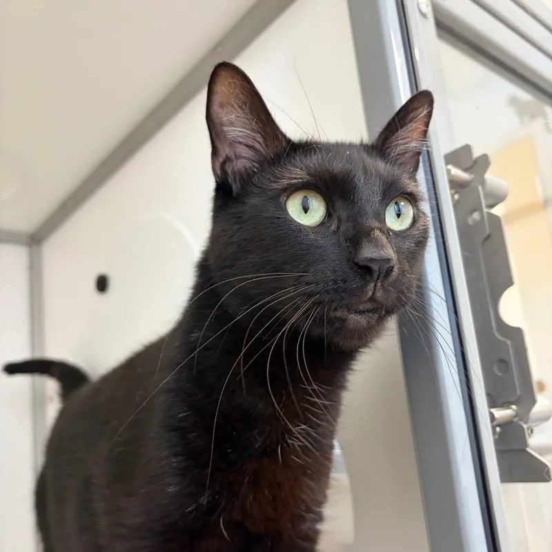 Ernie thumbnail 5