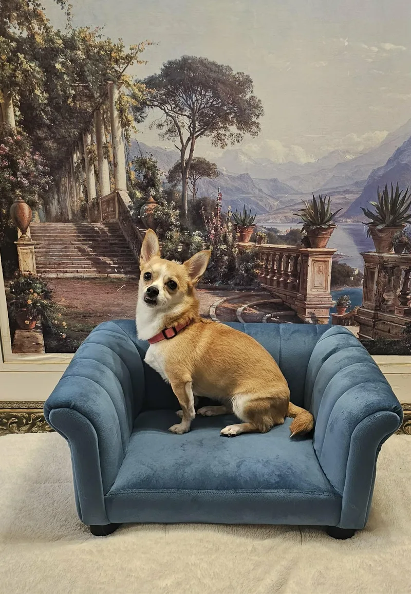 Nala Brave Beauty thumbnail 2