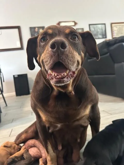 Sonja