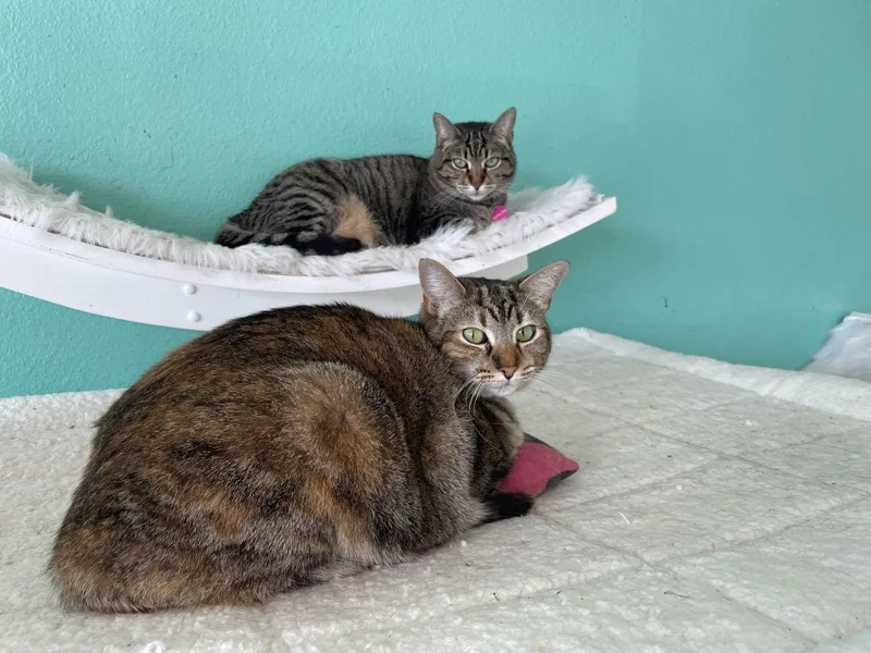 Mama Dd & Emily thumbnail 3