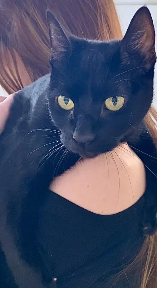 Sevenso Cuddly Likes To thumbnail 2