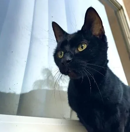 Sevenso Cuddly Likes To thumbnail 4