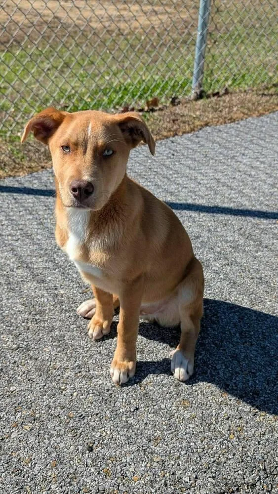 Grin Reaper thumbnail 2