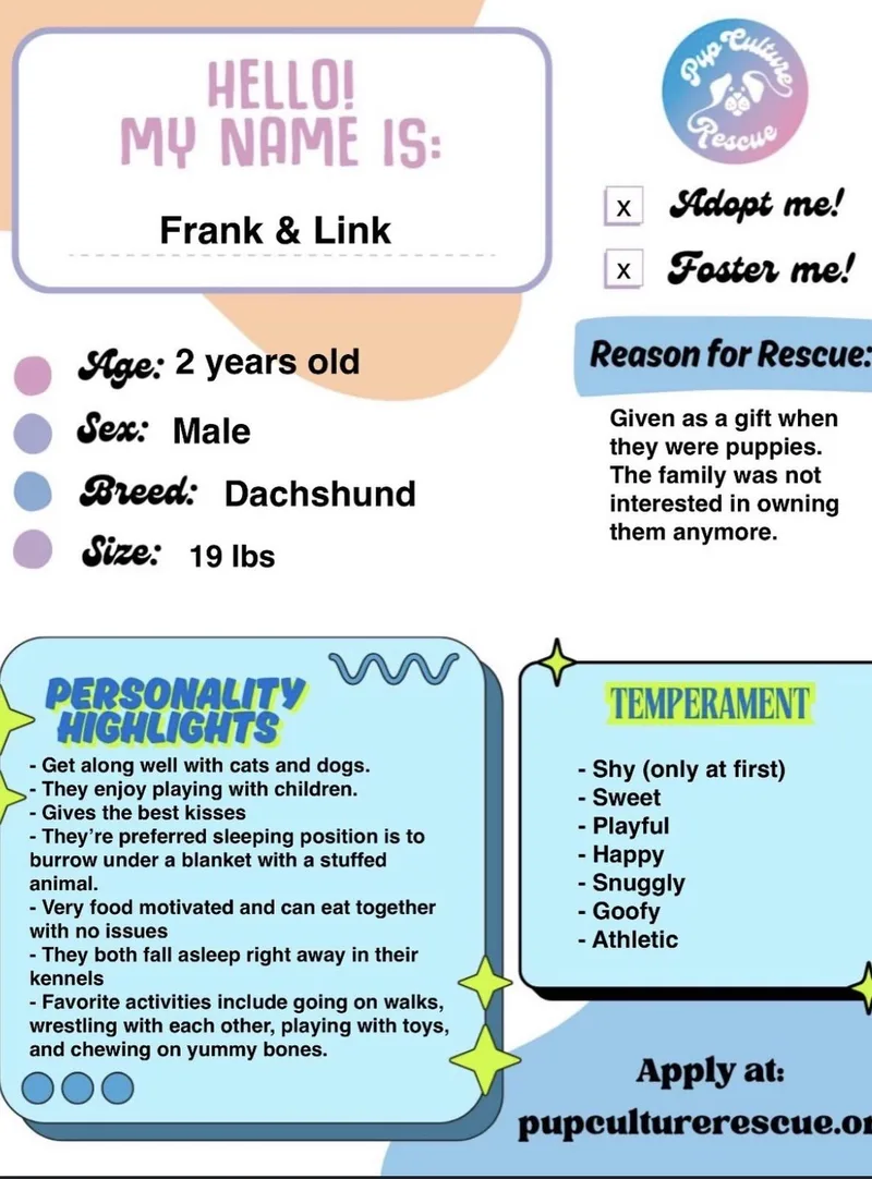 Frank & Link thumbnail 2