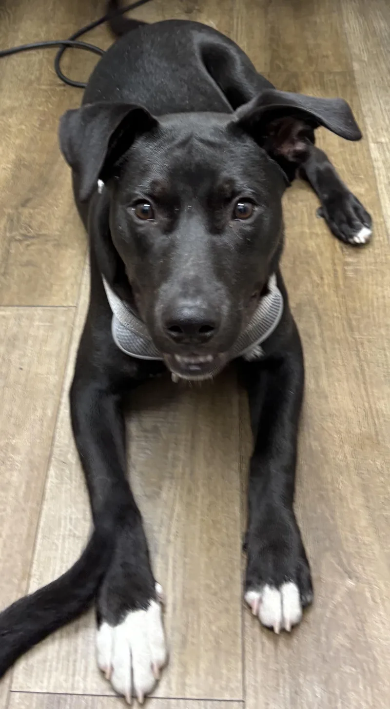 Willie Nelson thumbnail 3