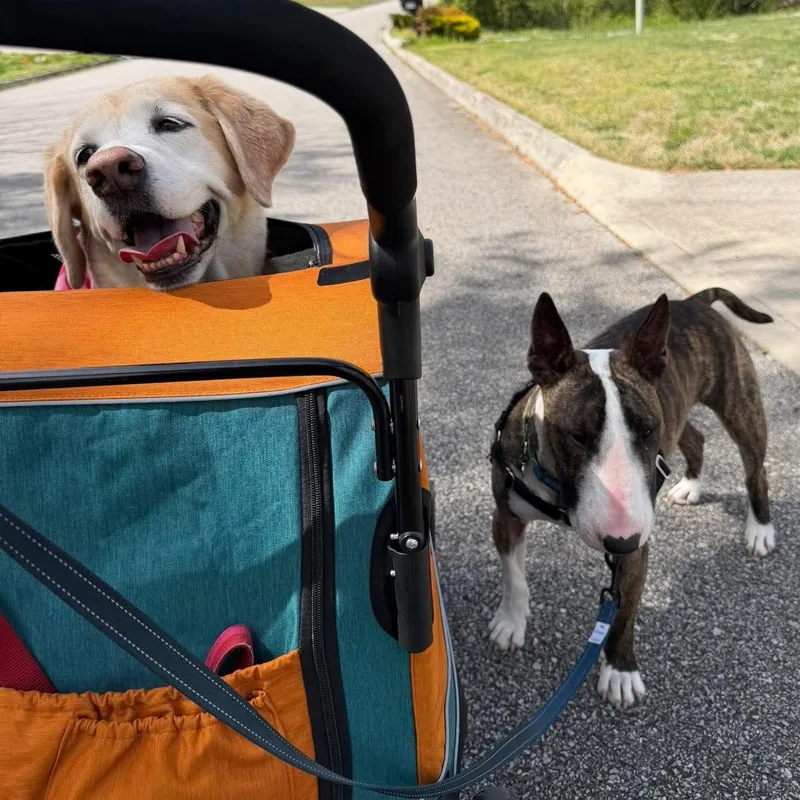 Teddy Ruxpin thumbnail 2