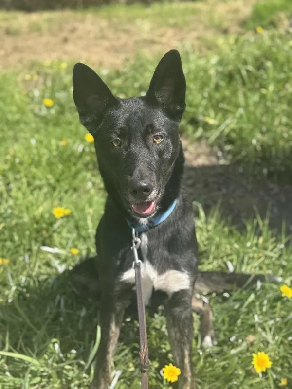 Topher Joseph thumbnail 3