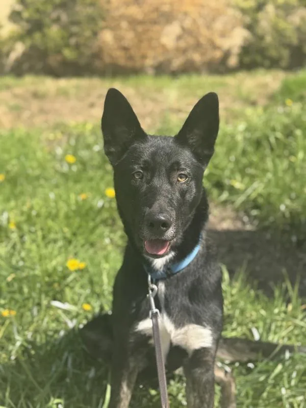 Topher Joseph thumbnail 4