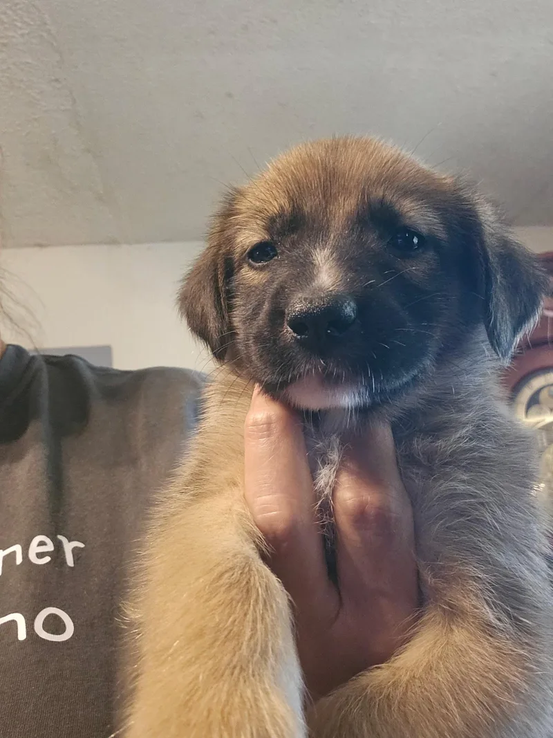 Rain thumbnail 3